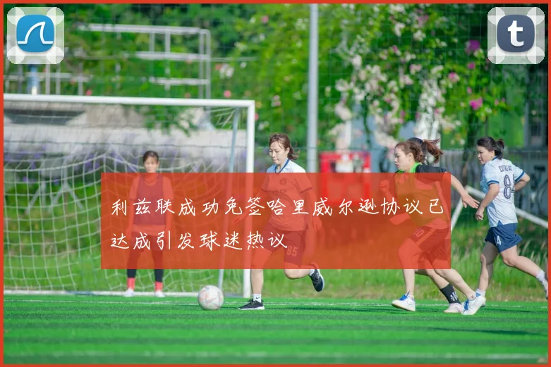 利兹联成功免签哈里威尔逊协议已达成引发球迷热议