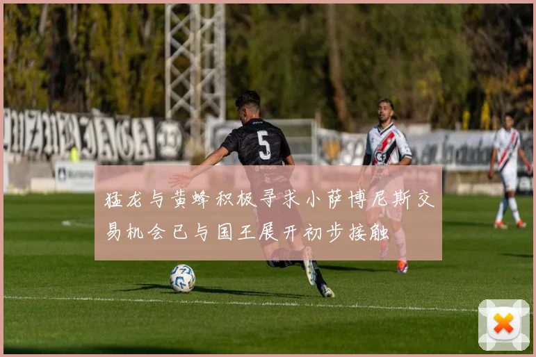 猛龙与黄蜂积极寻求小萨博尼斯交易机会已与国王展开初步接触