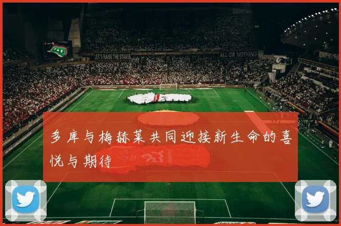 多库与梅赫莱共同迎接新生命的喜悦与期待