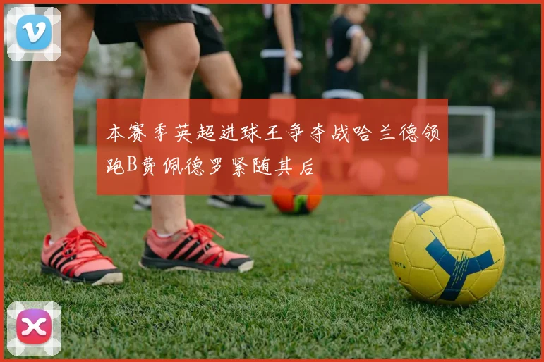 本赛季英超进球王争夺战哈兰德领跑B费佩德罗紧随其后
